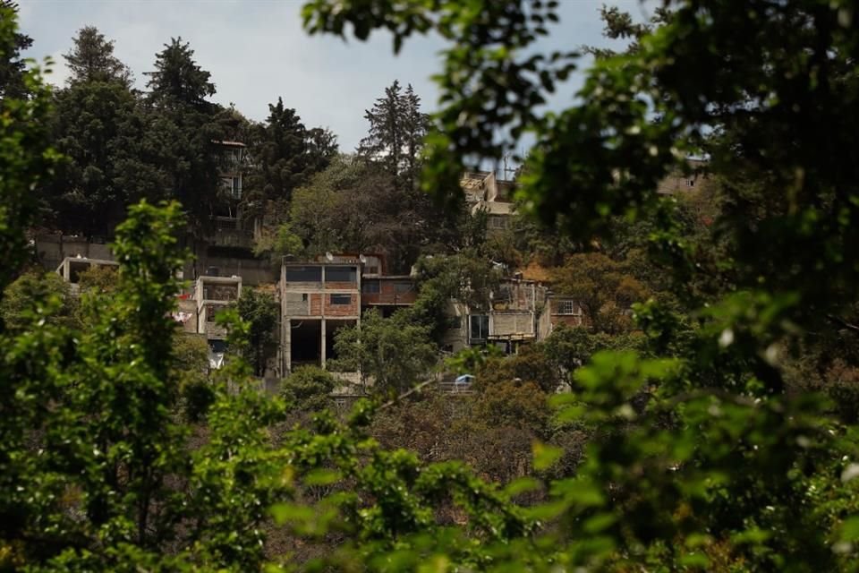 Alertan especialistas de la UNAM sobre las invasiones en Magdalena Contreras, el lugar donde nace el último cauce vivo de la Ciudad.