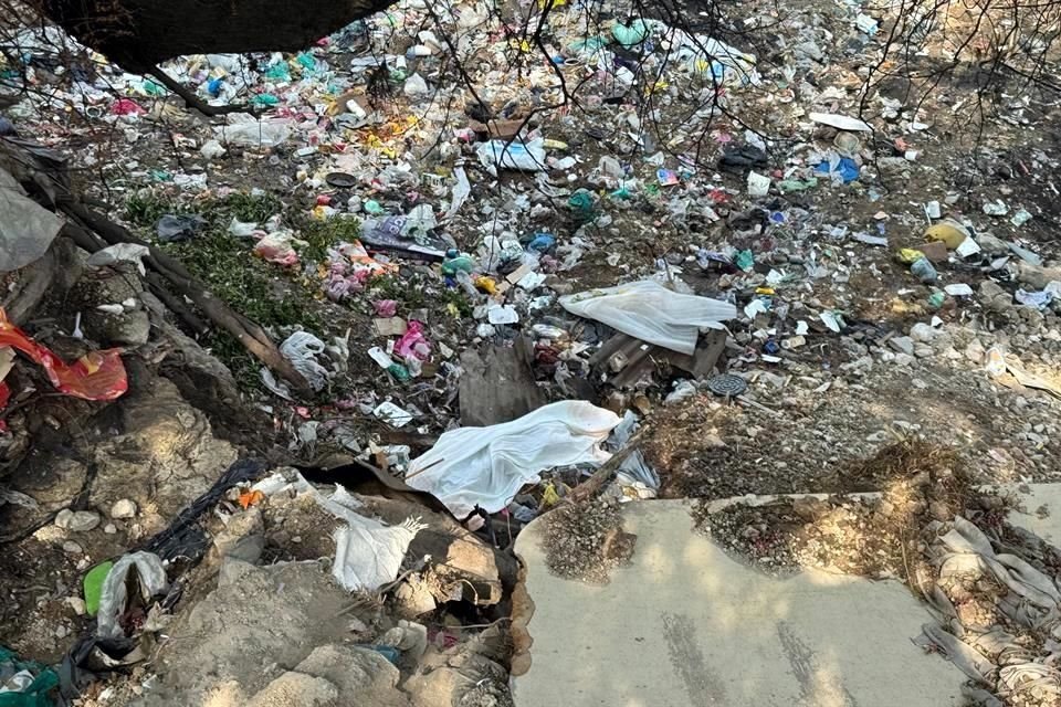 La mujer había sido secuestrada y está mañana fue descubierta sin vida en el fondo del terreno por vecinos del lugar.