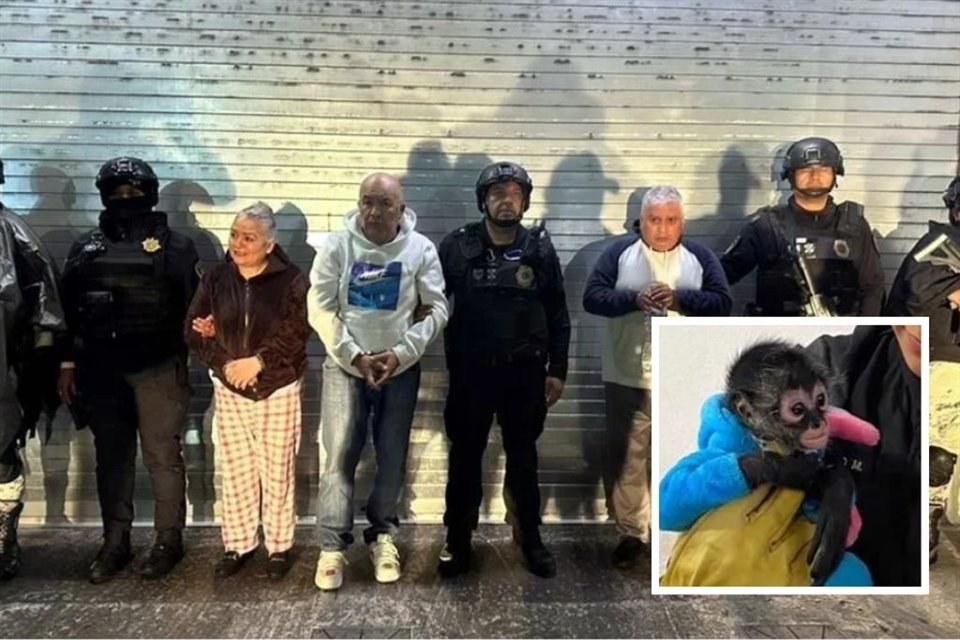 Autoridades de CDMX detuvieron en GAM a integrantes de banda dedicada a la falsificación de billetes; les aseguraron dinero falso y... ¡un mono!