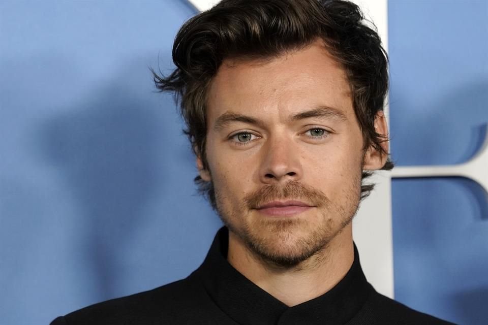 Una mujer obsesionada con Harry Styles fue sentenciada a prisión 14 semanas y se le prohibió verlo actuar, tras enviar ocho mil tarjetas.