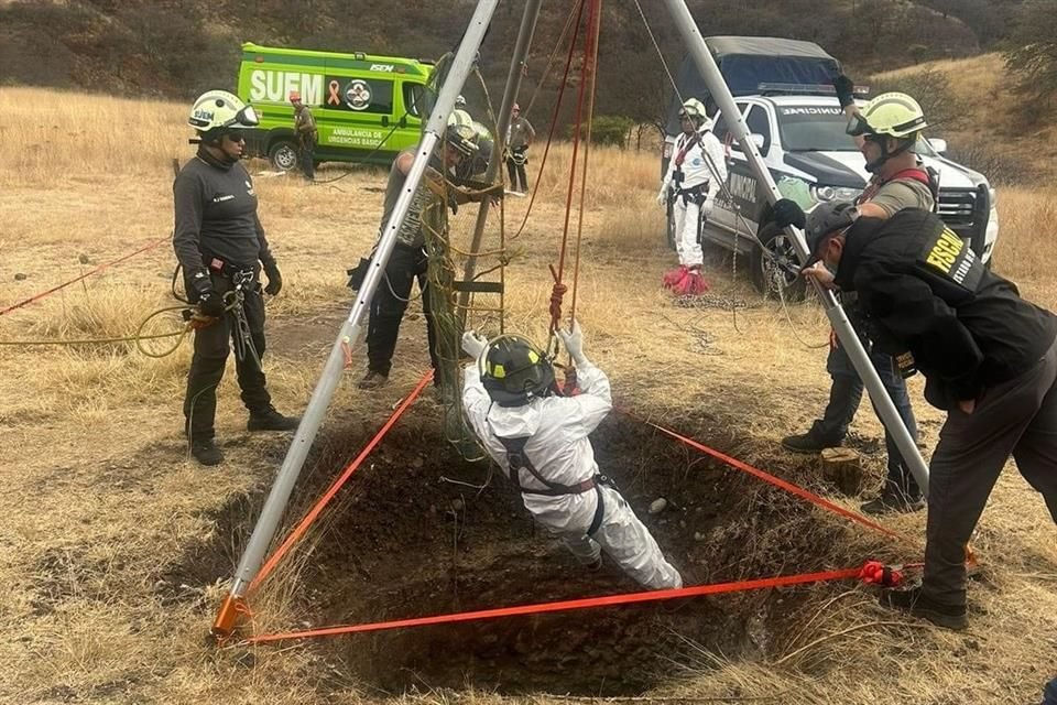 El hallazgo ocurrió entre el lunes y el martes en un paraje aledaño a la Hacienda Lanzarote.