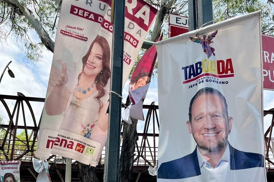 La presidente de la asociación señaló que la mayoría de la propaganda termina en la basura por la dificultad de recolección.