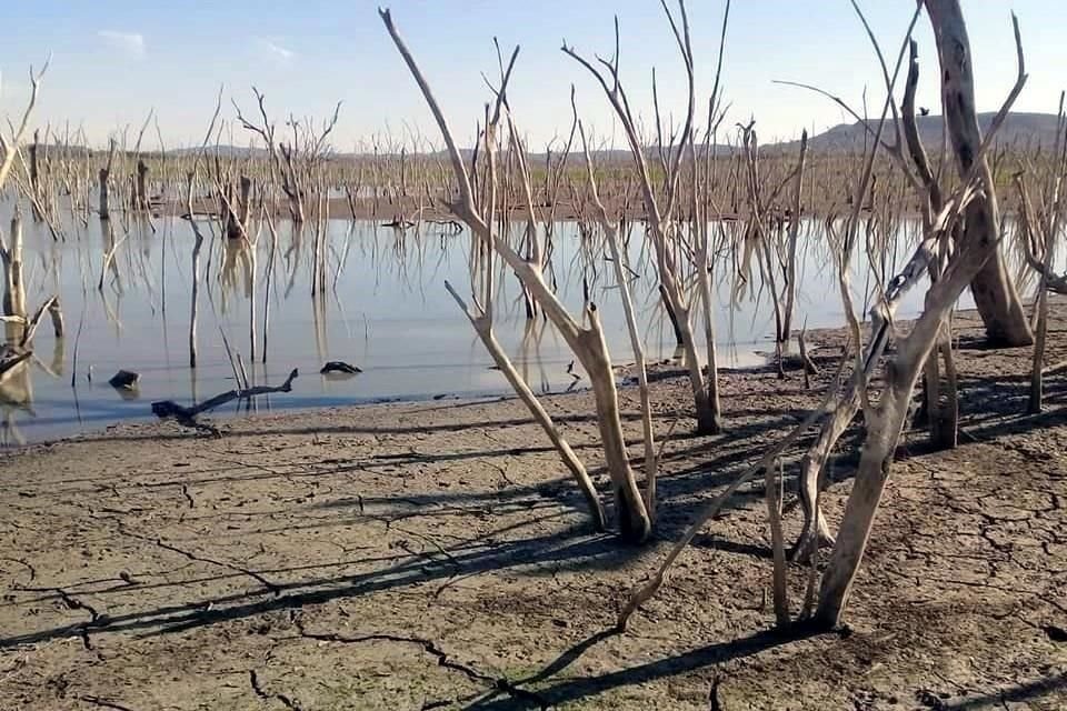 Casi el 70 por ciento de los municipios de Tamaulipas está en condición crítica por la sequía.