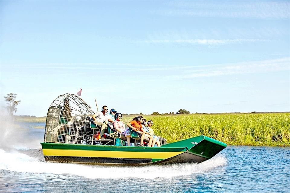En Wild Florida se pueden hacer tours en hidrodeslizadores sobre los pantanos.