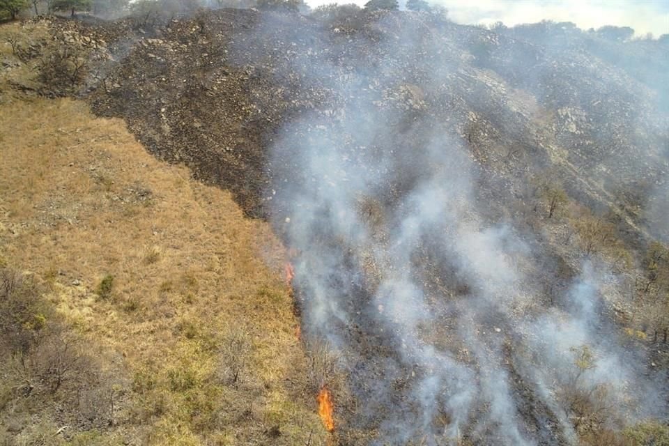 186 brigadistas forestales de Zapopan colaboraron para apagar incendio.