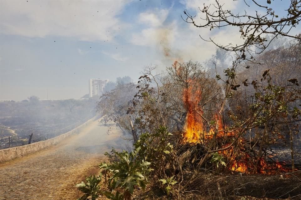 Una jornada de tres incendios simultáneos registró el Bosque La Primavera este jueves, mismos que favorecieron la propagación de contaminantes atmosféricos.