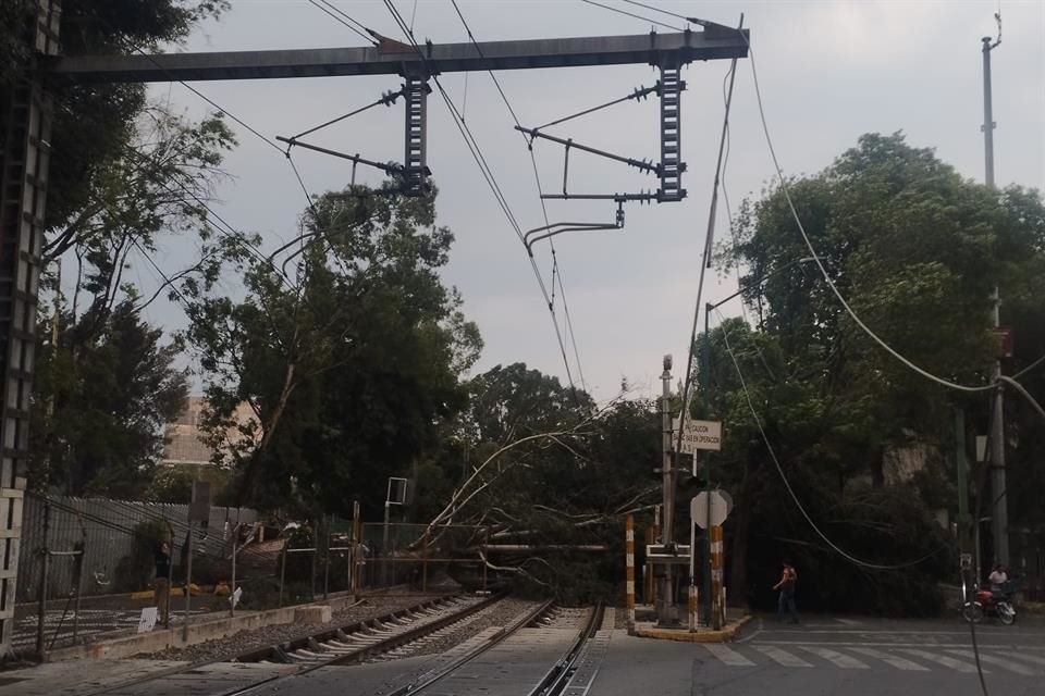 'Al caer derribó cableado de catenarias del Tren Ligero, malla ciclónica perimetral y cableado de media tensión de la CFE', informó Protección Civil.