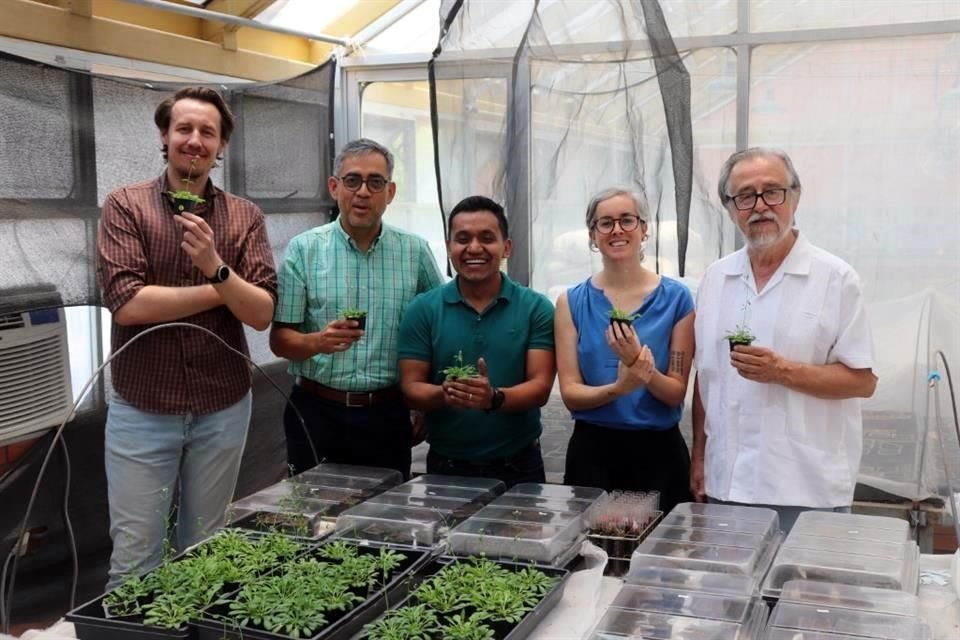 Damien Formey, Mario Serrano, Yordan Romero, Eria Rebollar y Miguel Ángel Cevallos trabajaron en el proyecto del Centro de Ciencias Genómicas de la UNAM.