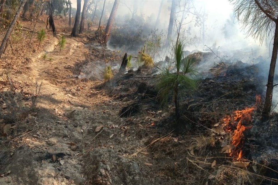 Residentes de Valle de Bravo, Edomex, urgieron a autoridades a sofocar incendios que en transcurso del domingo avanzaron alrededor del lago.