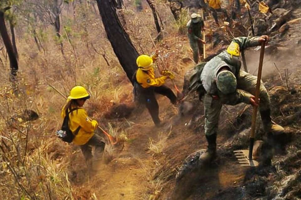 Combate gobierno de EDOMEX incendios en Valle de Bravo