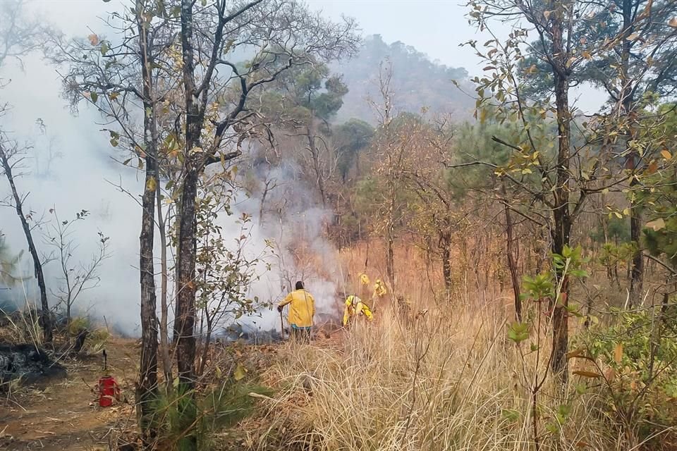 Combate gobierno de EDOMEX incendios en Valle de Bravo