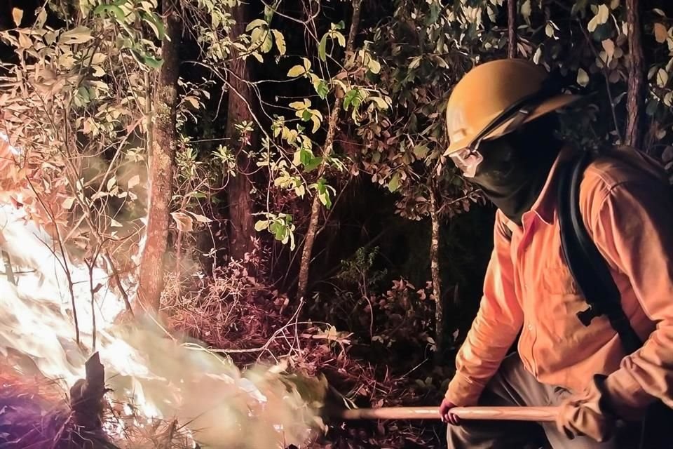 Combate gobierno de EDOMEX incendios en Valle de Bravo