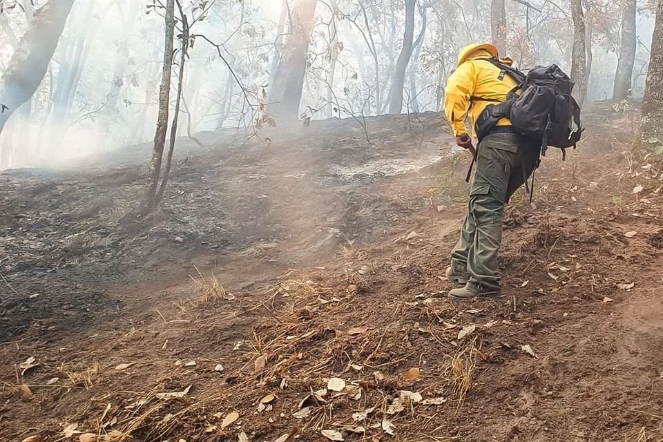 Combate gobierno de EDOMEX incendios en Valle de Bravo