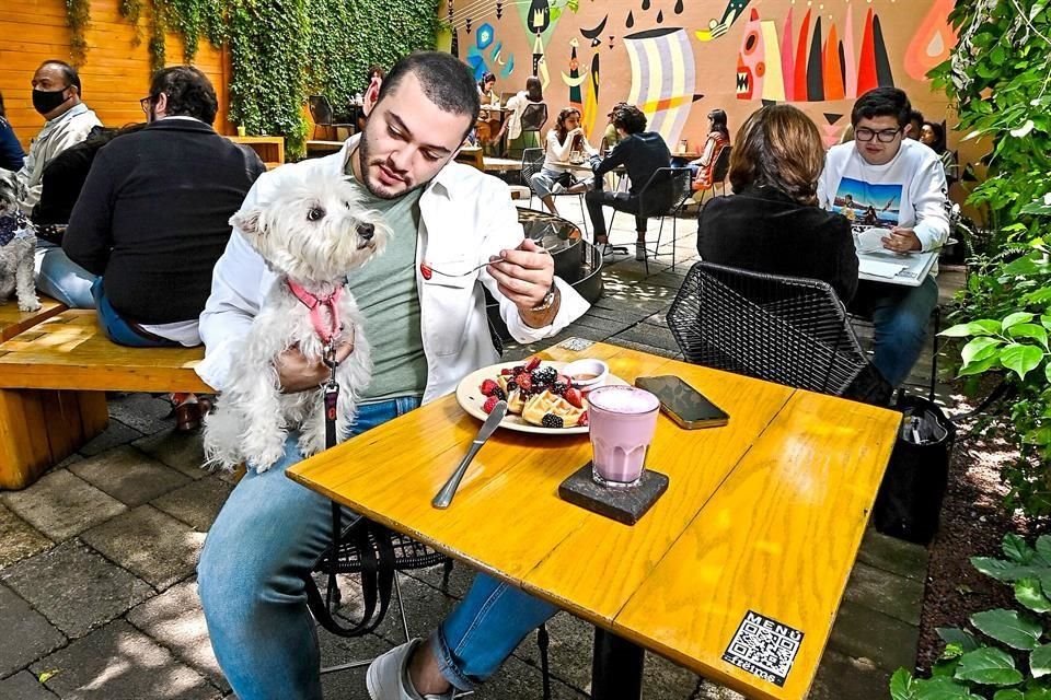 El 20 de julio es el Día Mundial del Perro y celebramos a los lomitos en lugares llenos de historia y de sabor, como Frëims, en la Condesa.