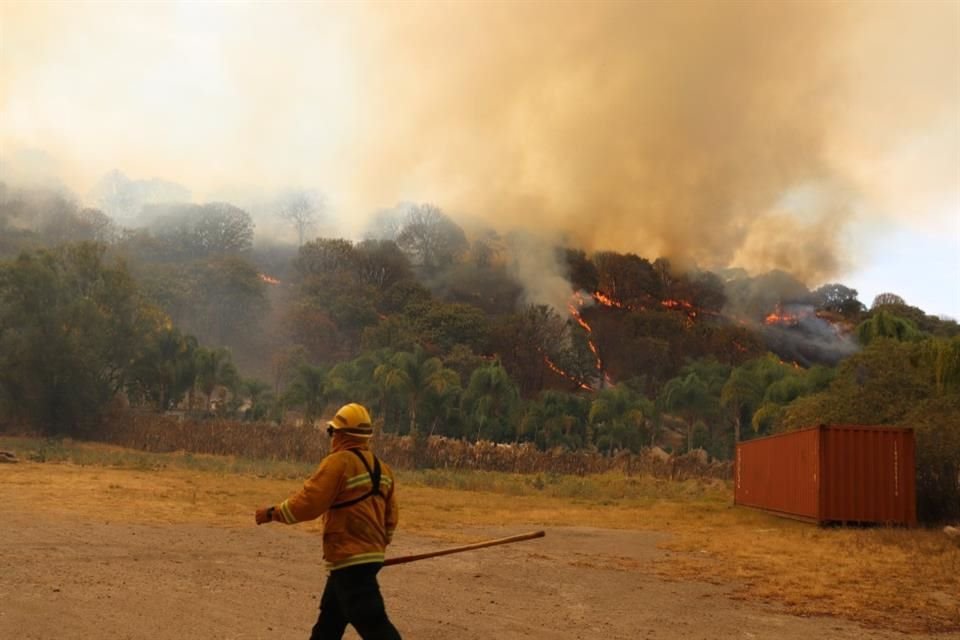 En el incendio del martes un brigadista fue impactado por una roca en el Bosque La Primavera.