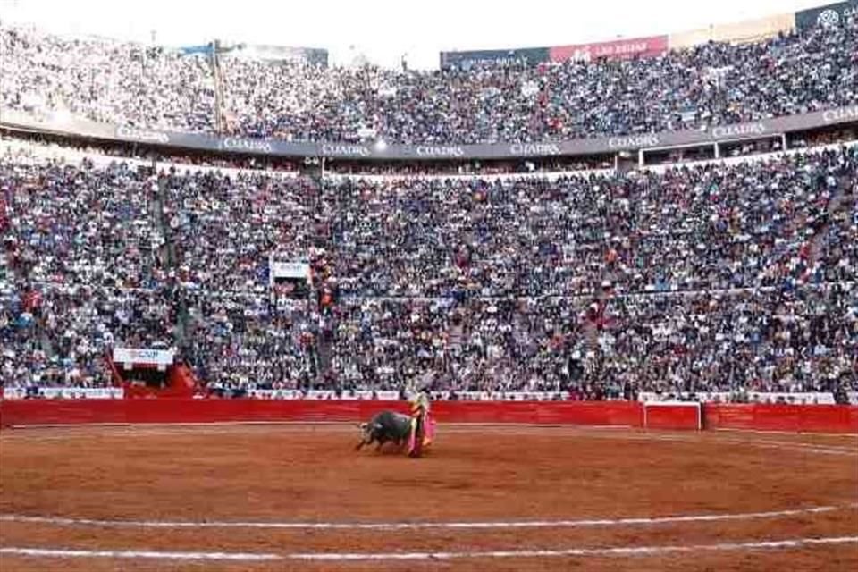 El juicio de amparo fue presentado por la asociación Todas y todos por Amor a los Toros, en el cual denunciaron omisiones de diferentes autoridades al permitir este tipo de eventos. 