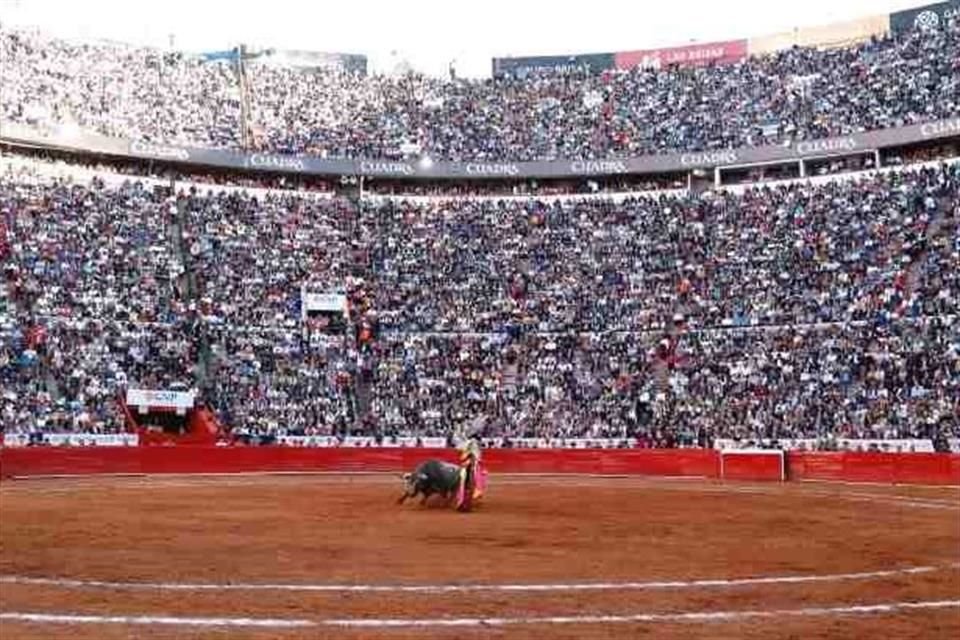 'Se crea la figura política (de) el espectáculo taurino libre de violencia, que posibilitará la continuación de las actividades en la Plaza de Toros bajo nuevas reglas', dijo Brugada.