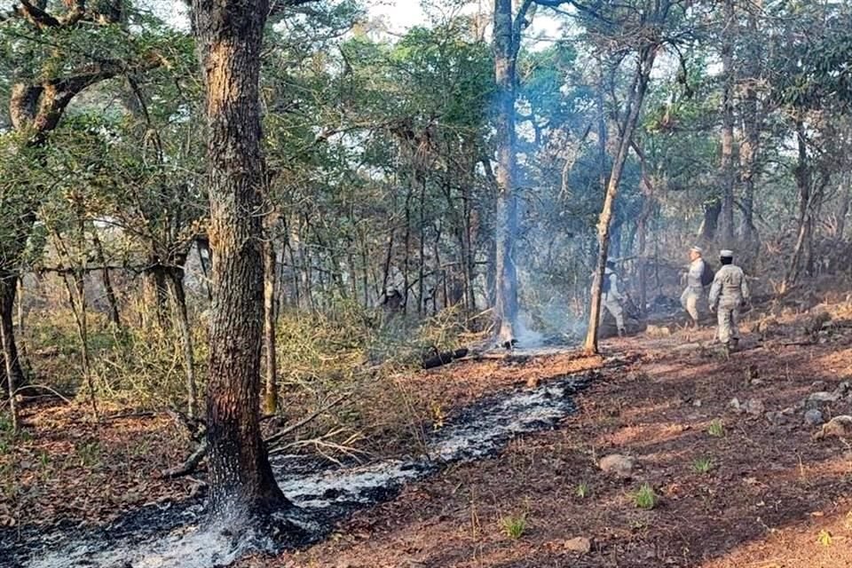 Autoridades precisan que suman ya 2 mil hectáreas afectadas por el siniestro.