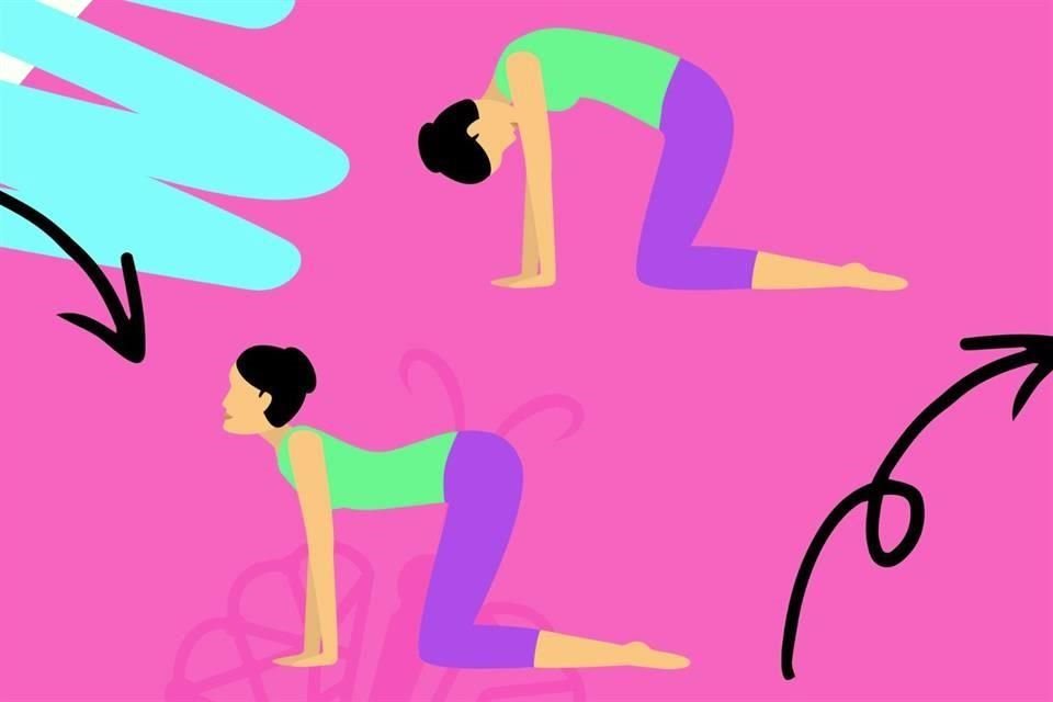 Posturas del yoga como gato-vaca, son ideales para favorecer la flexibilidad de la columna vertebral y el alivido del dolor lumbar.