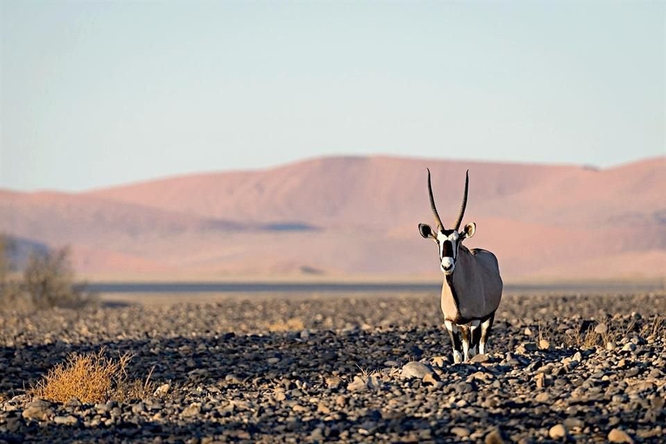 Namibia es un país que imanta gracias a sus inconmensurables paisajes.