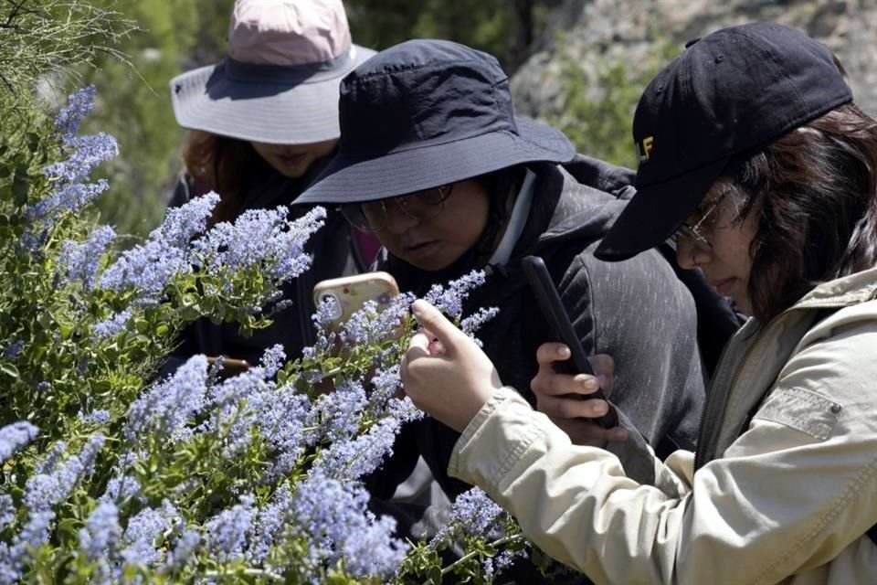 Científicos provenientes de ambos lados de la frontera buscan una mayor protección de la riqueza natural de la región.