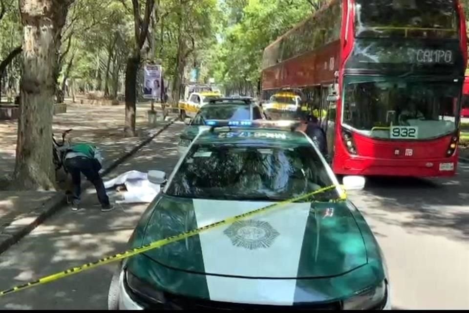 Un ciclista que viajaba en una Ecobici falleció luego de ser arrollado en Paseo de la Reforma, justo frente al Museo de Antropología.