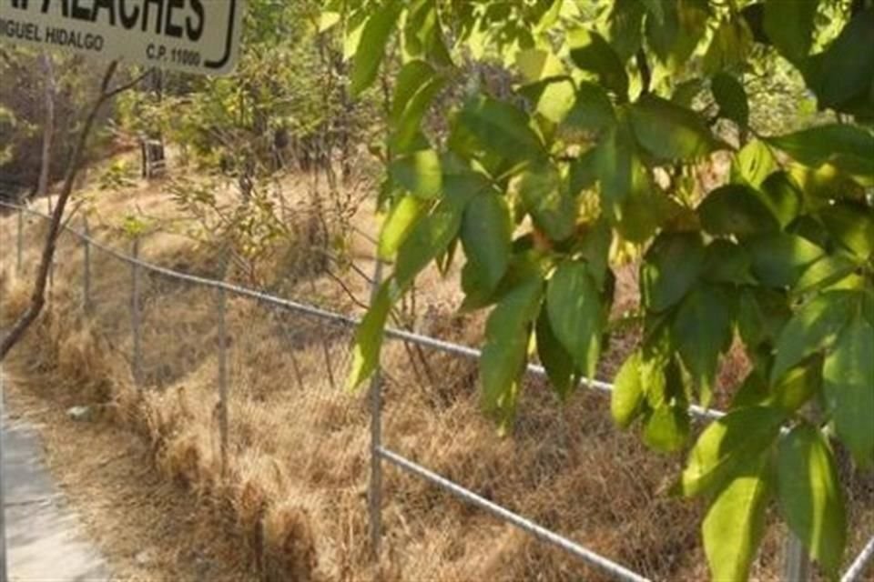 Vecinos buscan que se niegue la solicitud, pues argumentan que el interés superior debe ser la protección al medio ambiente.