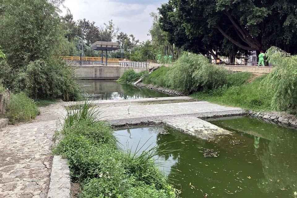 Por la falta del líquido tratado, en el trayecto de La Viga a Río Churubusco, exhibe planchas de concreto.