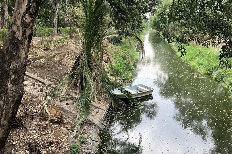 El Canal Nacional, ubicado entre las alcaldías Coyoacán e Iztapalapa, tiene niveles de agua tratada más bajos de los registrados usualmente; incluso, la fauna ha sido afectada por esta disminución.