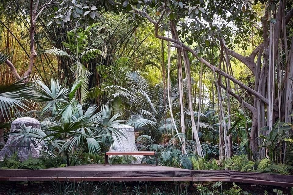 La artista de origen vietnamita Ngoc Minh Ngo, famosa por captar la belleza de jardines y paisajes, fotografió el Jardin Botánico Culiacán, en la capital sinaloense.