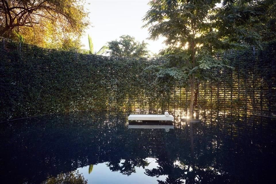 El Jardín fue proyectado por la arquitecta Tatiana Bilbao y alberga no sólo la riqueza natural, sino también una muestra de arte contemporáneo al aire libre.