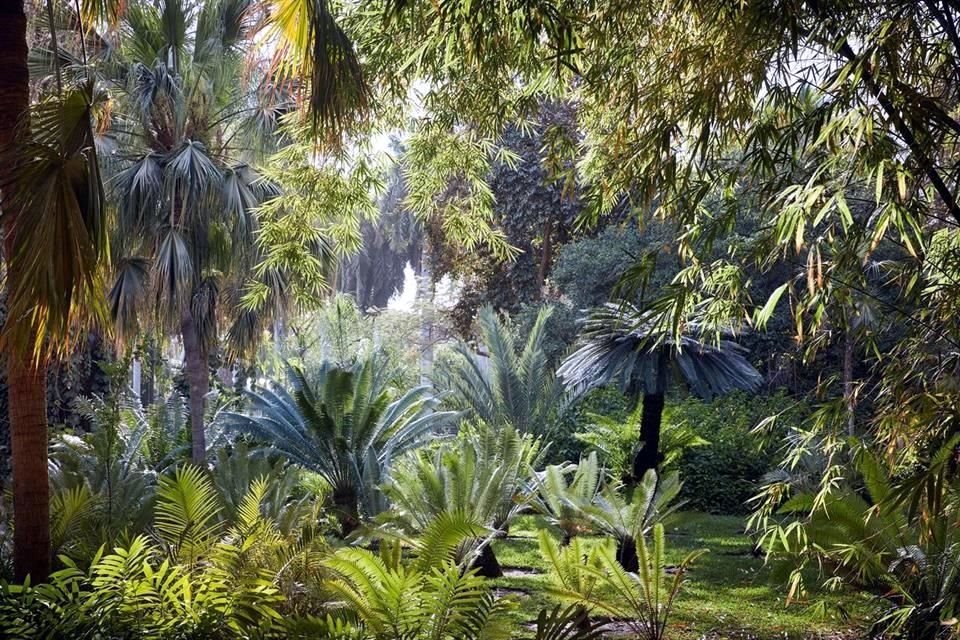 El Jardín Botánico de Culiacán también funciona como centro educativo y de investigación.