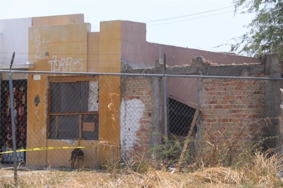 Las personas ingresaron a un terreno baldío que está junto a una casa y comenzaron con la prospección.