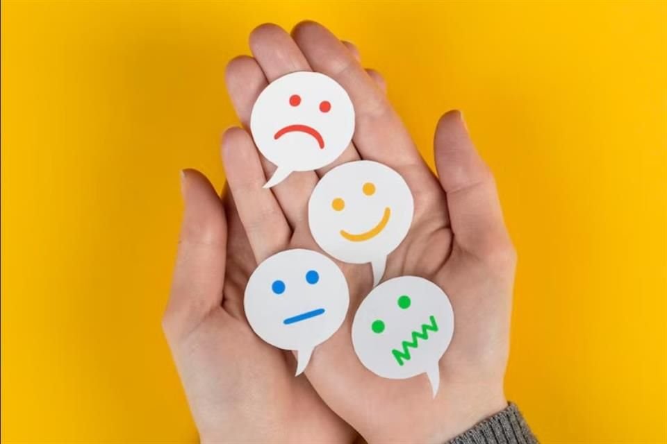 Los programas versados en la educación socioemocional impulsan las habilidades intra e interpersonales de los participantes para así alcanzar un bienestar integral.