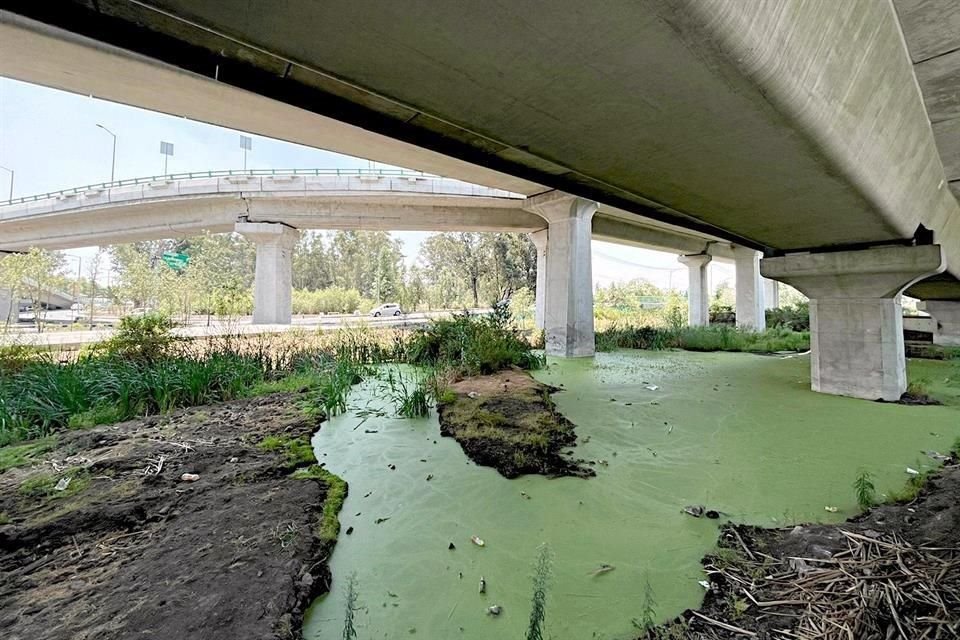 Debajo del paso Periférico Sur y Canal Nacional, las botellas de pet y otros residuos plásticos son cada vez más frecuentes en el cuerpo de agua.