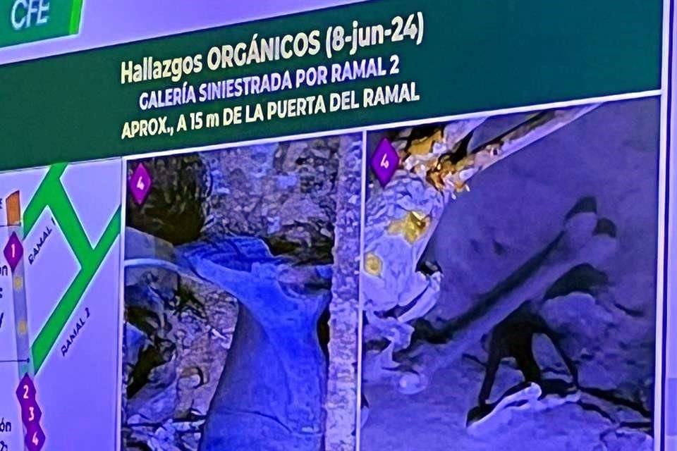 A 18 años de la tragedia en Pasta de Conchos, Coahuila, fueron encontrados los restos humanos de al menos 13 de los 63 mineros víctimas.
