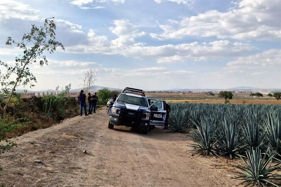 El cadáver de un hombre que fue asesinado a golpes y quemado fue abandonado en un campo agavero en Tlajomulco.