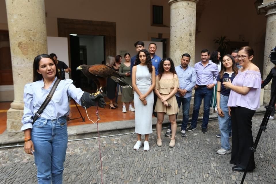 Empleados del Congreso del Estado se toman fotos con una Aguililla de Harris, de dos años y medio.