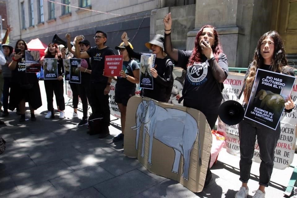 Los activistas se reunieron afuera de la Suprema Corte de Justicia de la Nación.