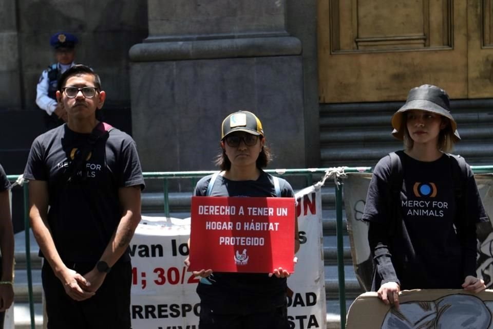 Señalan que con la manifestación pretenden que la SCJN resuelva un amparo en favor de 'Ely'.