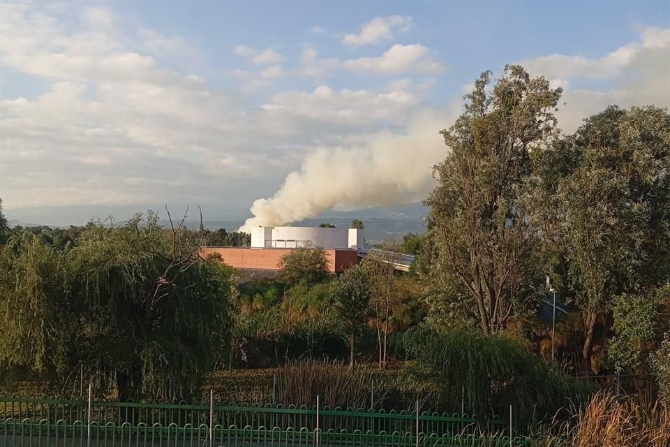 Hacia las 10:50 horas, el incendio forestal fue apagado.