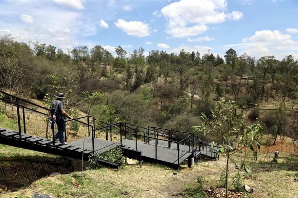 En La Cañada se habilitó el sendero Serpientes y Escaleras, en la tercera sección del Bosque de Chapultepec, que se puede recorrer en bici o a pie.