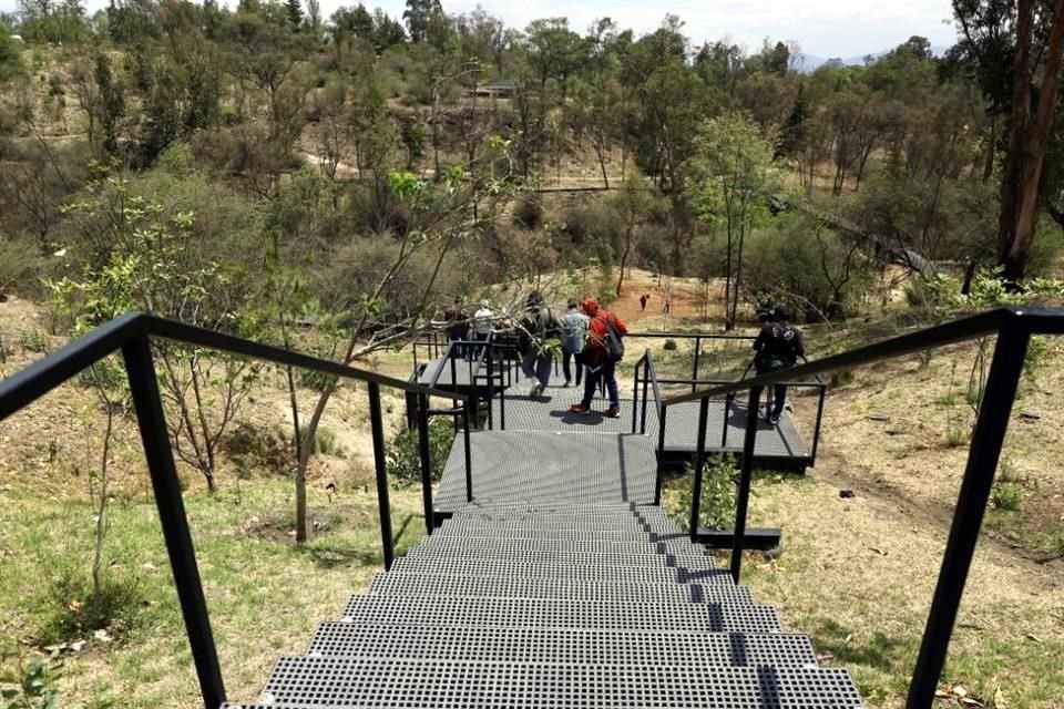 El circuito de senderos y escaleras atraviesa entre los árboles del Bosque. El Cablebús facilitará el acceso a la zona, una vez que esté habilitado. 