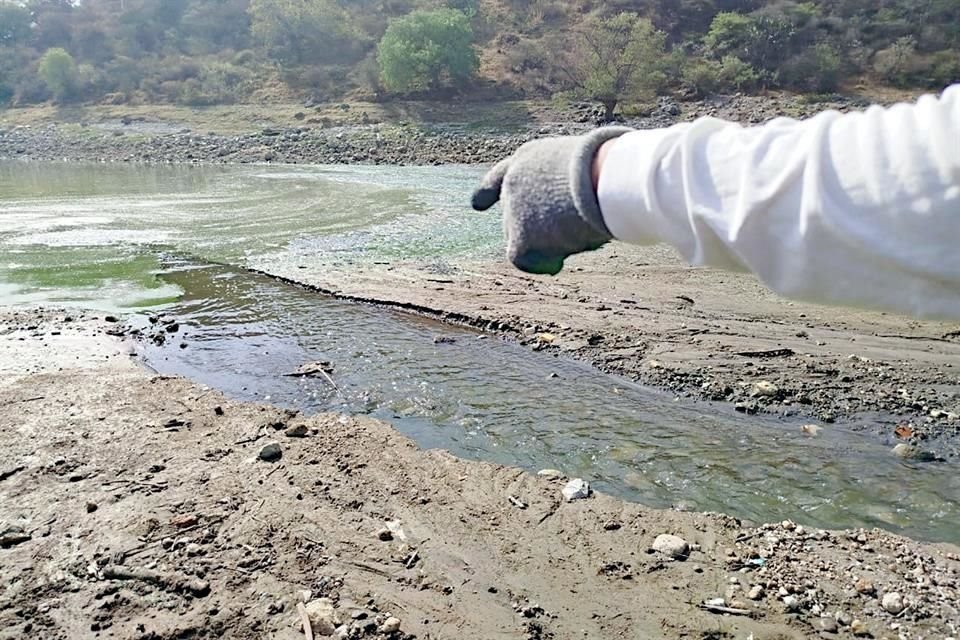 Vecinos aseguran que nunca habían visto tan poca agua y tampoco habían percibido un olor tan intenso.