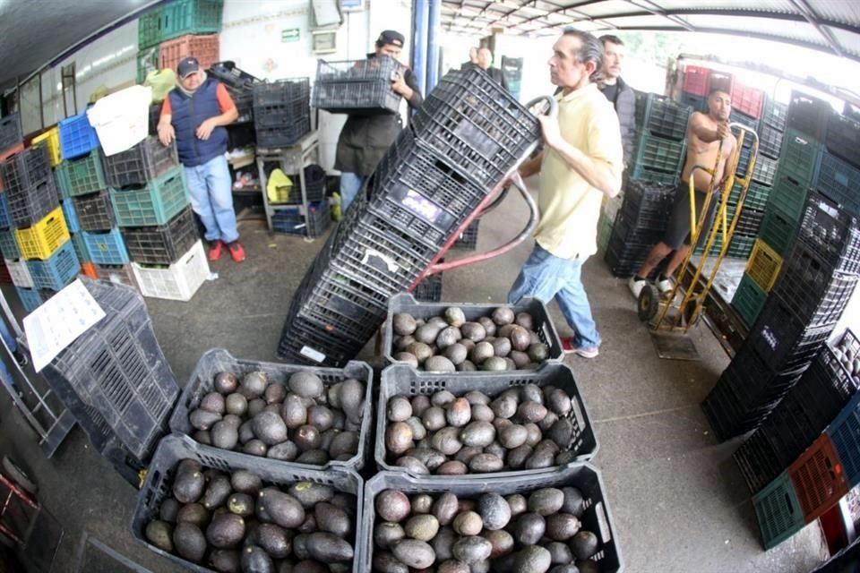 México concentra 89 por ciento de las importaciones de aguacate, mientras que Perú y República Dominicana tienen 10 por ciento en conjunto.