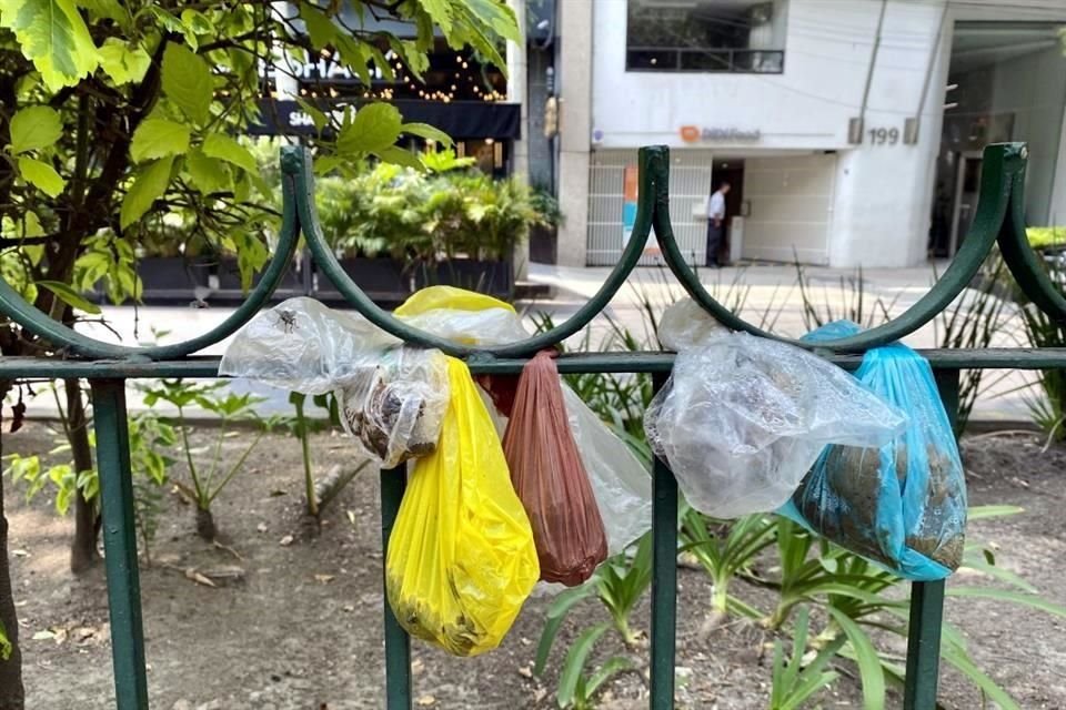 Vecinos señalan que las bolsas se han convertido en una plaga que afecta jardineras.