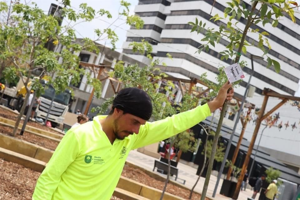 Ayuntamiento de Guadalajara arrancó su plan de reforestación 2024.