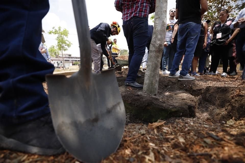 Los primeros 25 se colocaron en el Jardín del Santuario. La idea es que se sumen al millón de ejemplares que hay en el Municipio.