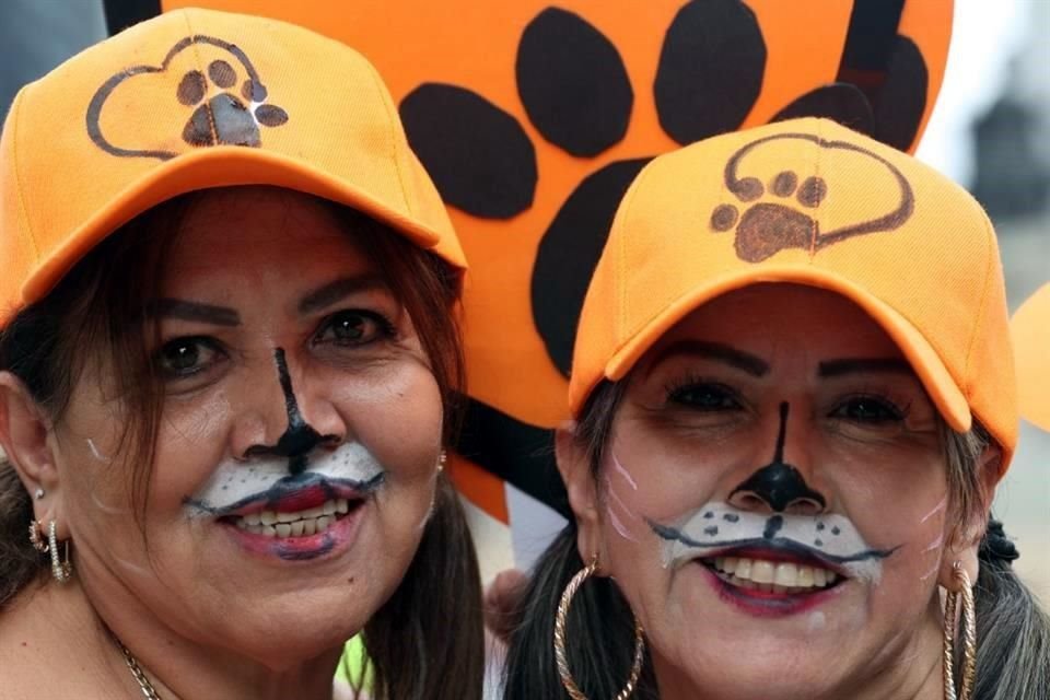 Durante la marcha, asistentes portaron distintivos de color naranja, característico de esta causa.