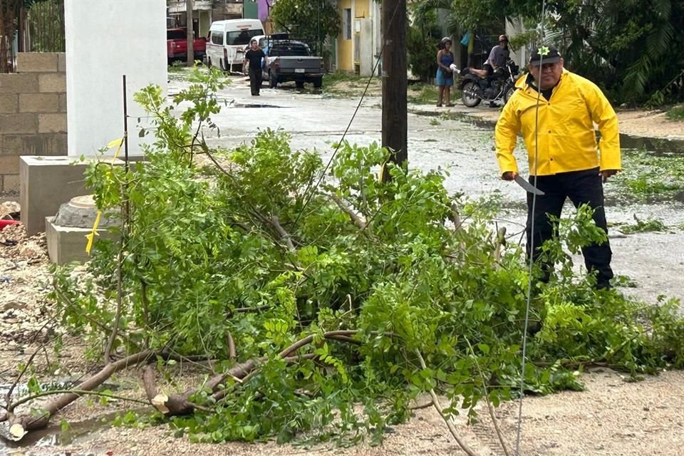 Ramas de árboles derribadas por los vientos del huracán destrozaron parte del cableado eléctrico en Tulum.